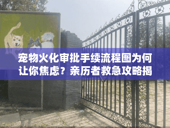 宠物火化审批手续流程图为何让你焦虑？亲历者救急攻略揭密！