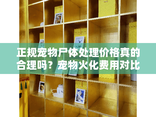 正规宠物尸体处理价格真的合理吗？宠物火化费用对比解析