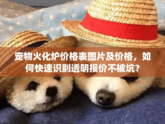 宠物火化炉价格表图片及价格，如何快速识别透明报价不被坑？