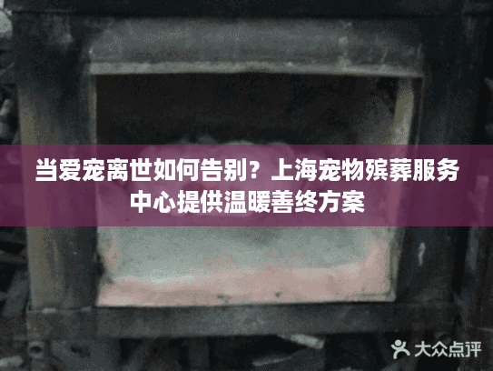 当爱宠离世如何告别？上海宠物殡葬服务中心提供温暖善终方案