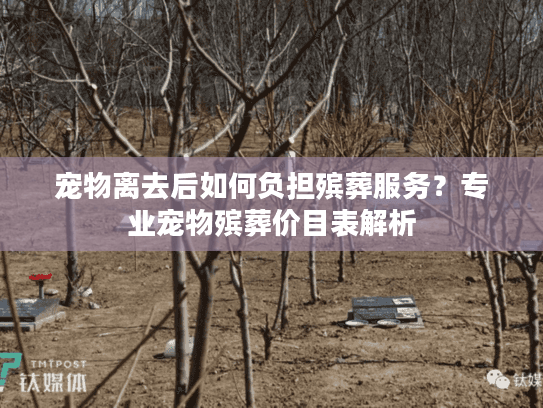 宠物离去后如何负担殡葬服务？专业宠物殡葬价目表解析