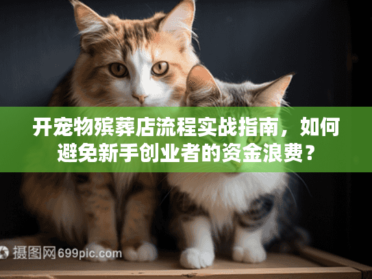 开宠物殡葬店流程实战指南，如何避免新手创业者的资金浪费？