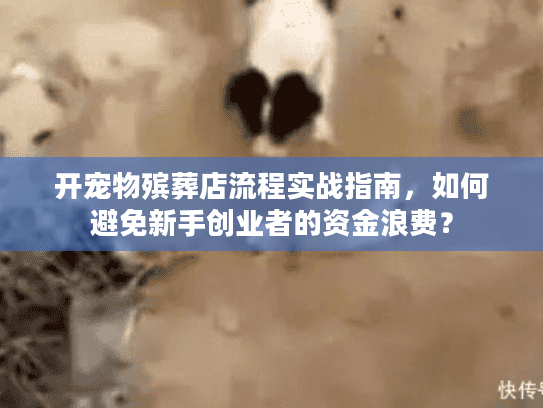 开宠物殡葬店流程实战指南，如何避免新手创业者的资金浪费？
