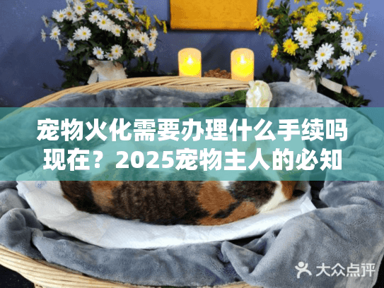 宠物火化需要办理什么手续吗现在？2025宠物主人的必知简化步骤