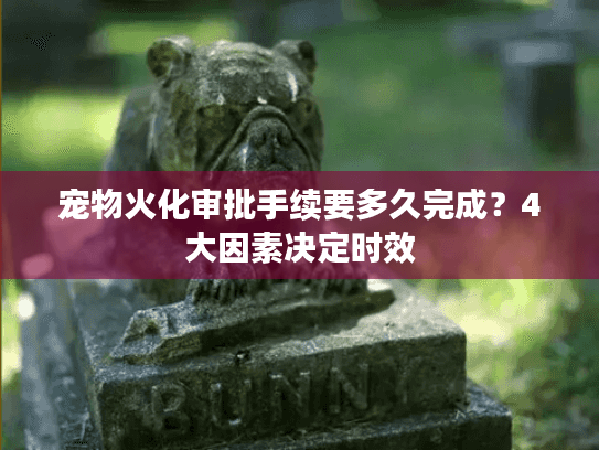 宠物火化审批手续要多久完成？4大因素决定时效