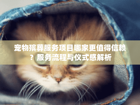 宠物殡葬服务项目哪家更值得信赖？服务流程与仪式感解析