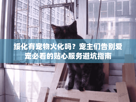 绥化有宠物火化吗?宠主们告别爱宠必看的贴心服务避坑指南 绥化有宠物火化吗?宠主们告别爱宠必看的贴心服务避坑指南