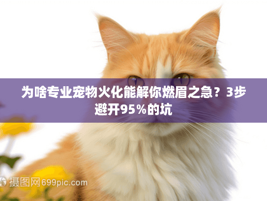 为啥专业宠物火化能解你燃眉之急？3步避开95%的坑