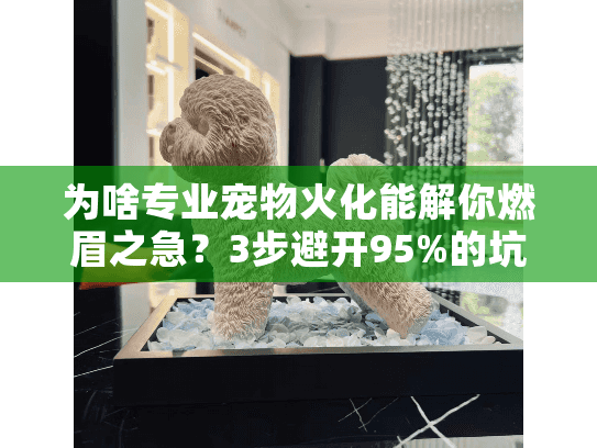 为啥专业宠物火化能解你燃眉之急？3步避开95%的坑