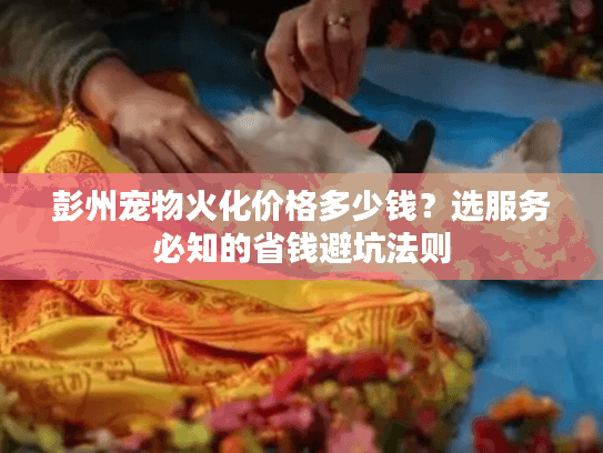 彭州宠物火化价格多少钱?选服务必知的省钱避坑法则 彭州宠物火化价格多少钱?选服务必知的省钱避坑法则