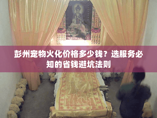 彭州宠物火化价格多少钱?选服务必知的省钱避坑法则 彭州宠物火化价格多少钱?选服务必知的省钱避坑法则