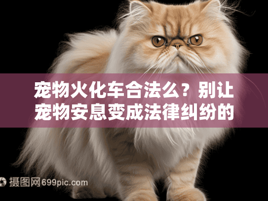 宠物火化车合法么？别让宠物安息变成法律纠纷的噩梦