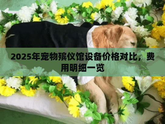 2025年宠物殡仪馆设备价格对比，费用明细一览