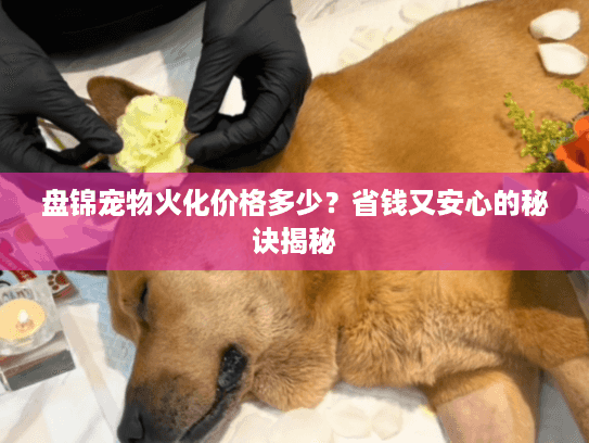 盘锦宠物火化价格多少？省钱又安心的秘诀揭秘