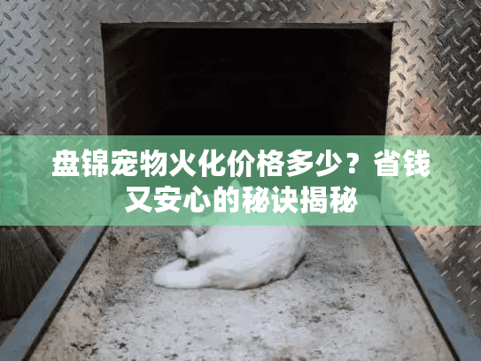 盘锦宠物火化价格多少？省钱又安心的秘诀揭秘