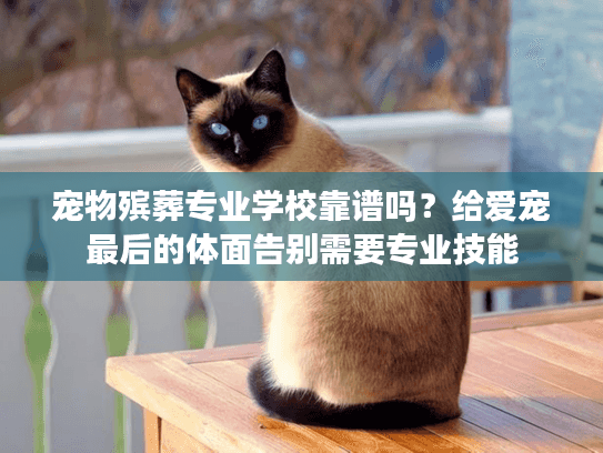 宠物殡葬专业学校靠谱吗？给爱宠最后的体面告别需要专业技能