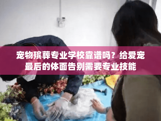 宠物殡葬专业学校靠谱吗？给爱宠最后的体面告别需要专业技能