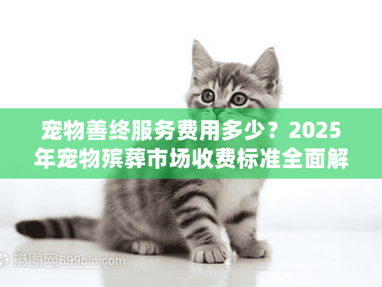 宠物善终服务费用多少？2025年宠物殡葬市场收费标准全面解读
