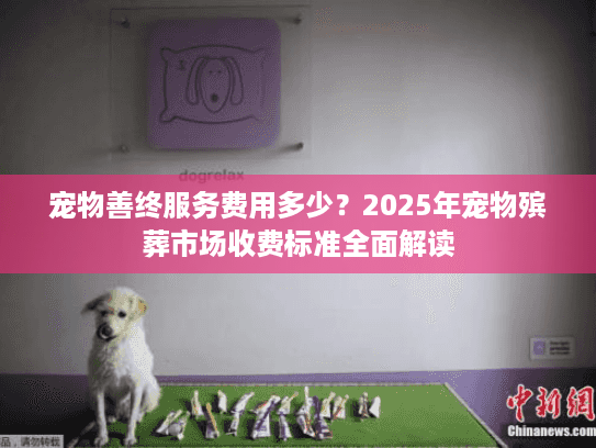 宠物善终服务费用多少？2025年宠物殡葬市场收费标准全面解读