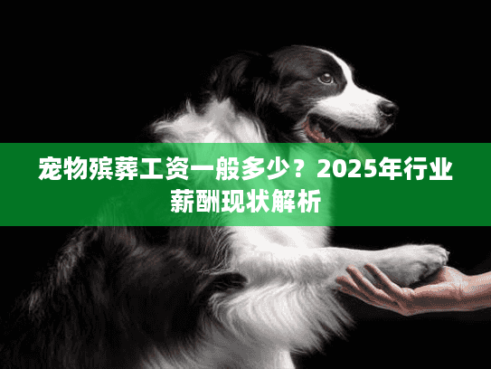 宠物殡葬工资一般多少？2025年行业薪酬现状解析