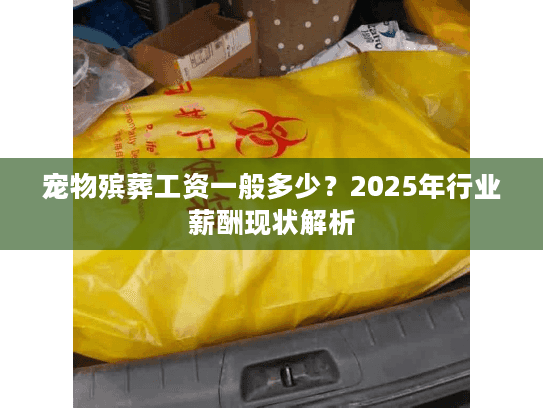 宠物殡葬工资一般多少？2025年行业薪酬现状解析