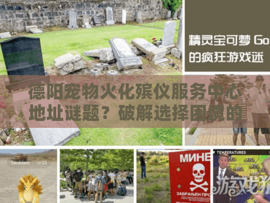 德阳宠物火化殡仪服务中心地址谜题?破解选择困境的独家行动指南 德阳宠物火化殡仪服务中心地址谜题?破解选择困境的独家行动指南