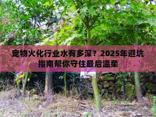 宠物火化行业水有多深？2025年避坑指南帮你守住最后温柔