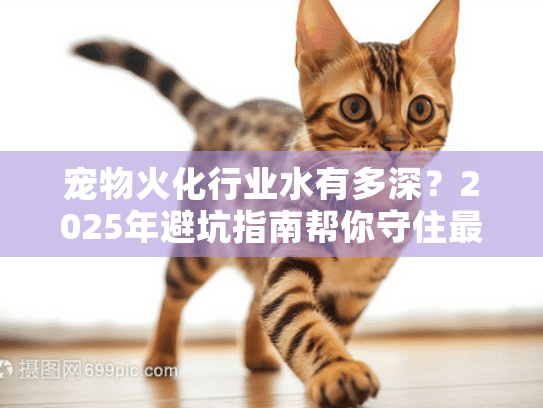 宠物火化行业水有多深？2025年避坑指南帮你守住最后温柔