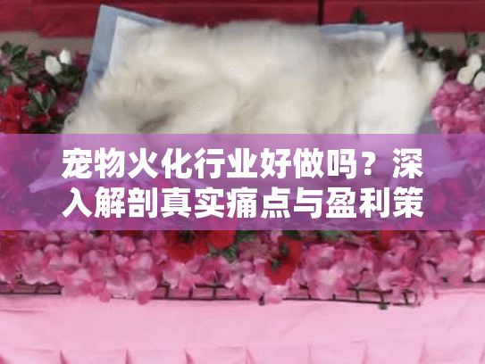 宠物火化行业好做吗？深入解剖真实痛点与盈利策略