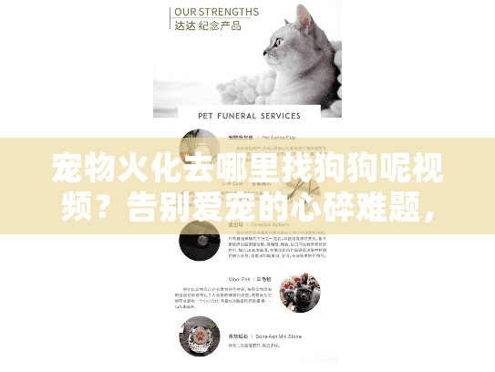 宠物火化去哪里找狗狗呢视频？告别爱宠的心碎难题，独家实战破解
