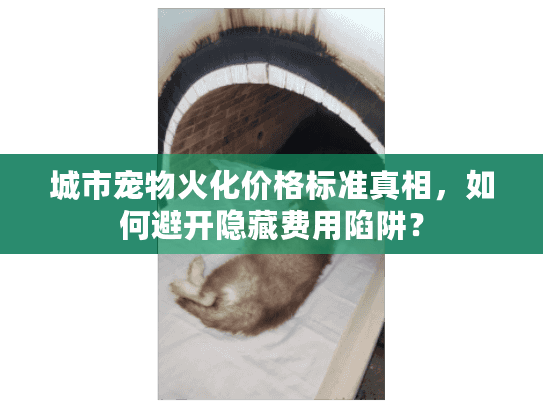 城市宠物火化价格标准真相，如何避开隐藏费用陷阱？
