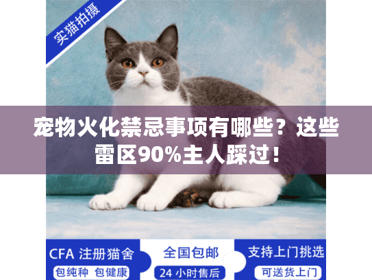宠物火化禁忌事项有哪些？这些雷区90%主人踩过！