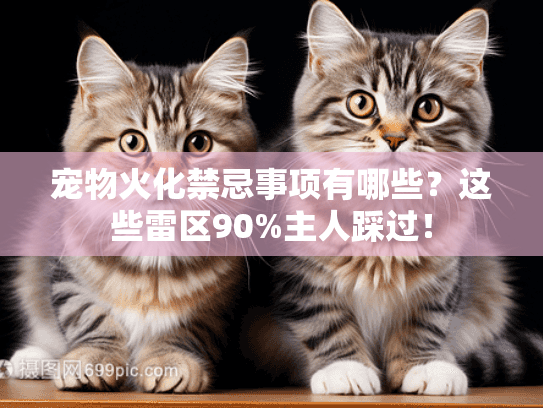 宠物火化禁忌事项有哪些？这些雷区90%主人踩过！