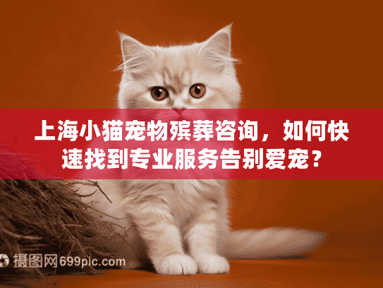 上海小猫宠物殡葬咨询，如何快速找到专业服务告别爱宠？