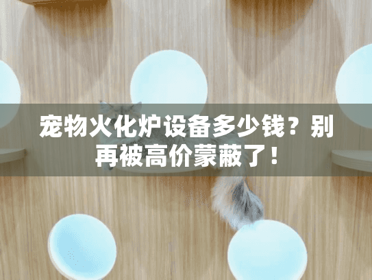 宠物火化炉设备多少钱？别再被高价蒙蔽了！