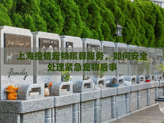 上海疫情宠物殡葬服务，如何安全处理紧急宠物后事
