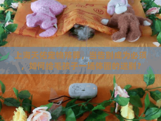 上海天佑宠物殡葬，当告别成为必须，如何给毛孩子一场体面的送别？