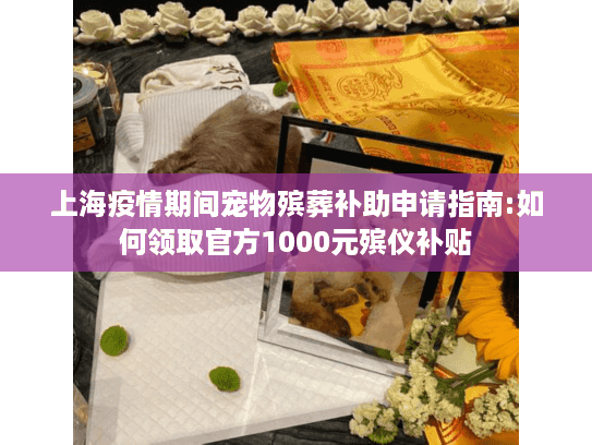 上海疫情期间宠物殡葬补助申请指南:如何领取官方1000元殡仪补贴
