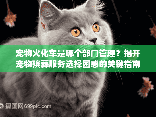 宠物火化车是哪个部门管理？揭开宠物殡葬服务选择困惑的关键指南