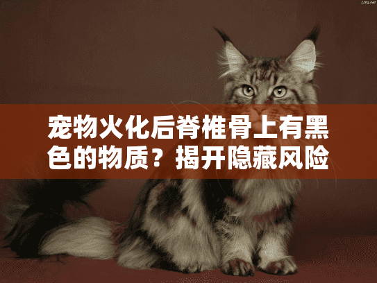 宠物火化后脊椎骨上有黑色的物质?揭开隐藏风险与安全选择宠物殡葬秘诀 宠物火化后脊椎骨上有黑色的物质?揭开隐藏风险与安全选择宠物殡葬秘诀