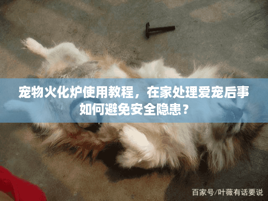 宠物火化炉使用教程，在家处理爱宠后事如何避免安全隐患？