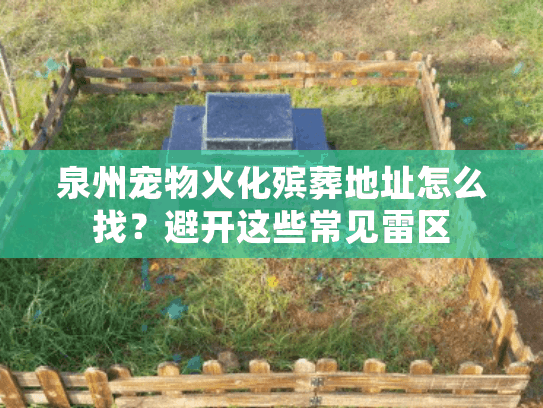 泉州宠物火化殡葬地址怎么找?避开这些常见雷区 泉州宠物火化殡葬地址怎么找?避开这些常见雷区