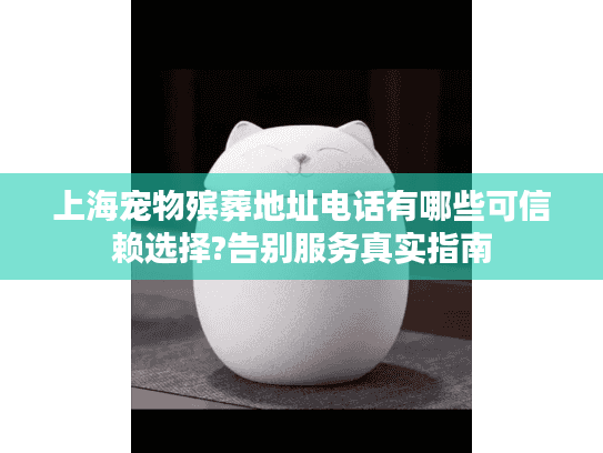 上海宠物殡葬地址电话有哪些可信赖选择?告别服务真实指南