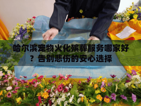 哈尔滨宠物火化殡葬服务哪家好？告别悲伤的安心选择
