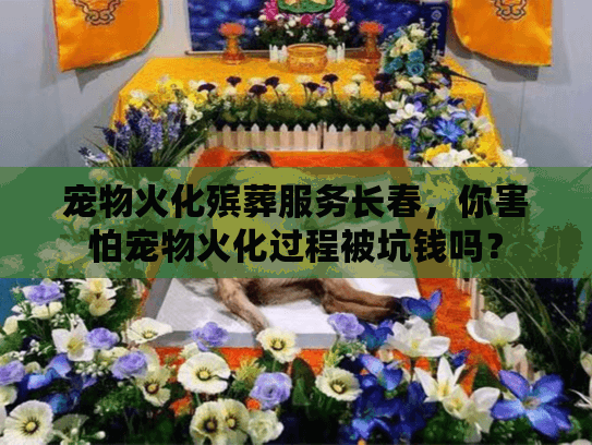 宠物火化殡葬服务长春，你害怕宠物火化过程被坑钱吗？