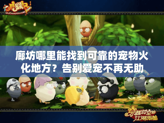 廊坊哪里能找到可靠的宠物火化地方？告别爱宠不再无助