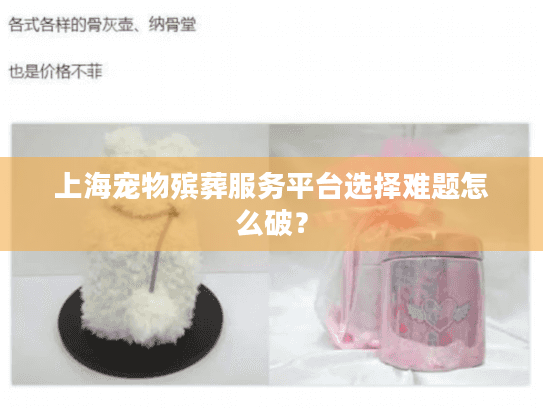 上海宠物殡葬服务平台选择难题怎么破？