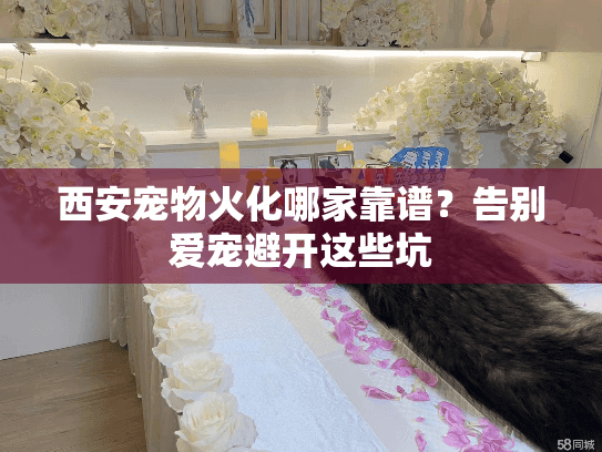 西安宠物火化哪家靠谱?告别爱宠避开这些坑 西安宠物火化哪家靠谱?告别爱宠避开这些坑