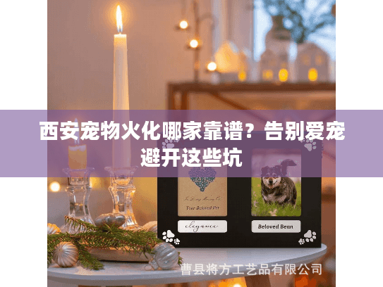 西安宠物火化哪家靠谱?告别爱宠避开这些坑 西安宠物火化哪家靠谱?告别爱宠避开这些坑