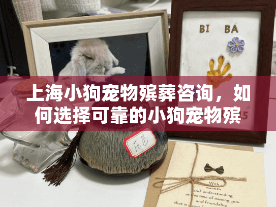 上海小狗宠物殡葬咨询，如何选择可靠的小狗宠物殡葬服务？